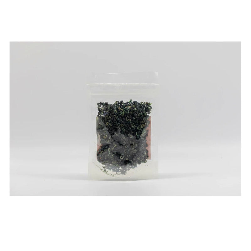 Periwinkle 4oz (Dried) - Premium Seafood for Cooking