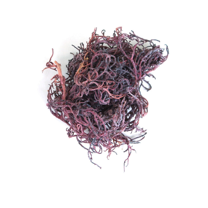 Purple Irish Sea Moss | Organic Irish Moss Raw | Wildcrafted & Sun-Dried from St. Lucia | 100% Natural | High in Nutrients & Minerals | Makes 50oz+ Sea Moss Gel (4oz)